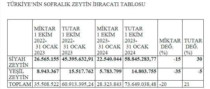 Sofralık zeytin ihracatını, fiyat artışı kurtardı!