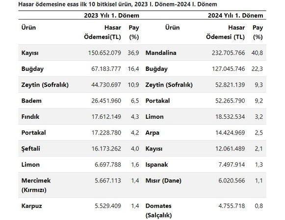 Çiftçi kuraklık olacağına inanmadı, kuraklık sigortası azaldı