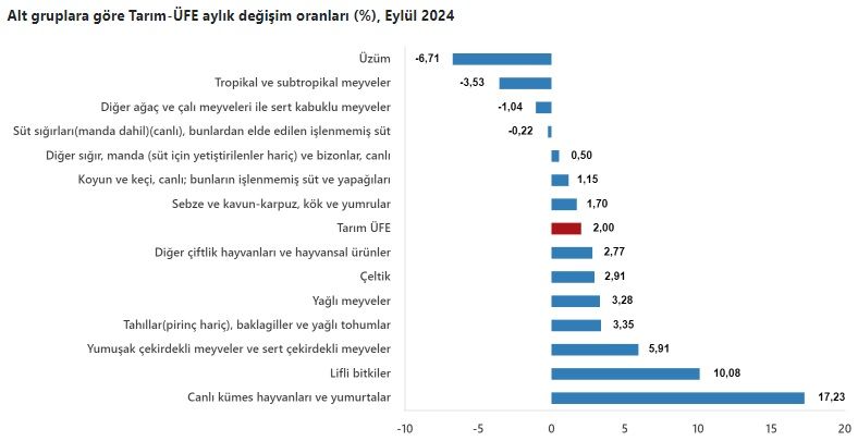 Tarım üretici fiyatları “biber”lendi!