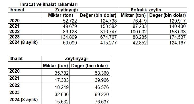 Zeytin üretimi, tarihi rekora koşuyor!