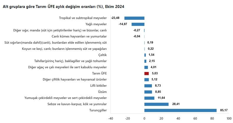 Üreticide zam şampiyonu salatalık!