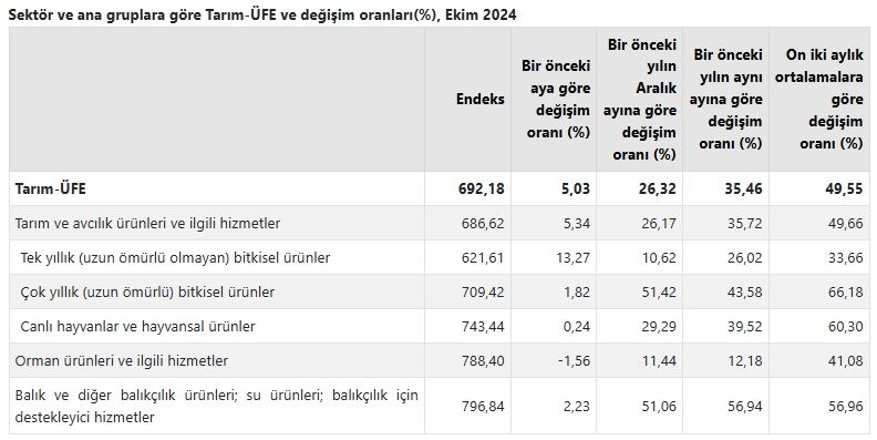 Üreticide zam şampiyonu salatalık!